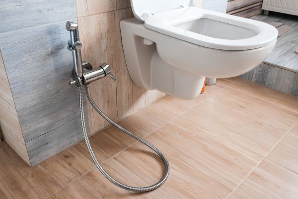 Cost of Bidet Service in Monroe