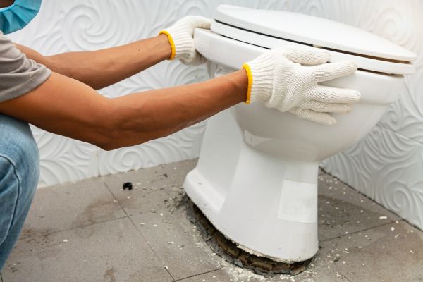 Cost of Toilet Removal in Monroe
