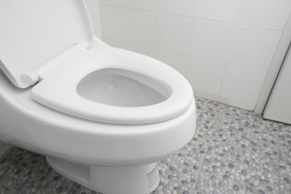 Cost of New Toilet Installation in Monroe
